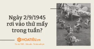 Ngày 2/9/1945 Rơi Vào Thứ Mấy Trong Tuần? - Hoatieu.vn