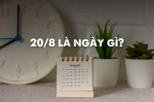 20/8 Là Ngày Gì? Những Sự Kiện Lịch Sử Diễn Ra Vào Ngày 20/8