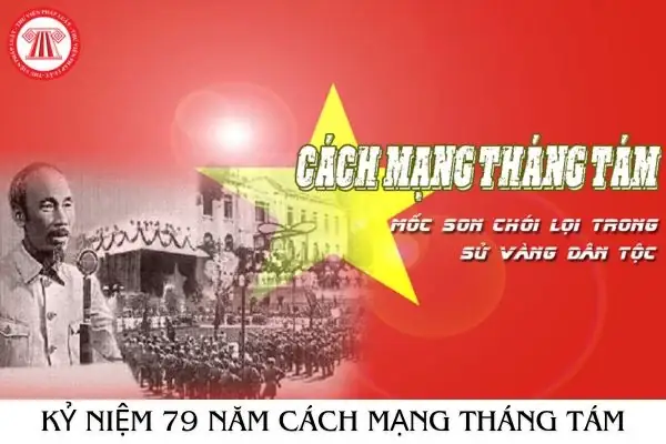 Ngày 23 Tháng 8 Là Ngày Gì? Ý Nghĩa Lịch Sử Và Chế Độ Ưu Đãi Thương Binh