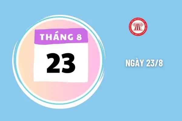 Ngày 23 8 Là Ngày Gì?