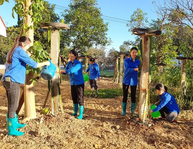 Tham Gia Các Hoạt Động Tình Nguyện, Bảo Vệ Môi Trường