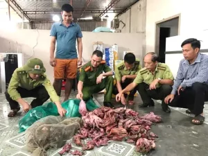 Cảnh Sát Nỗ Lực Cứu Chim Trời