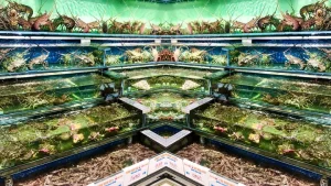 Hải Sản Biển Đông - Siêu Thị Nhà Hàng Hải Sản Số 1 Hà Nội
