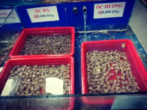 Nhà Hàng Phước Thái