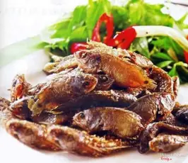 Nhà Hàng Sóng Thần Quảng Bình