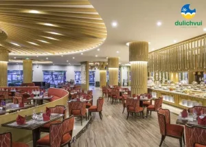 Phù Hợp Cho Nhiều Dịp Đặc Biệt