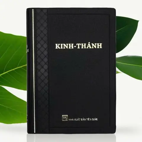Nhà Sách Giáo Dục Trung Kính: Top 5 Lựa Chọn Lý Tưởng Cho Học Sinh Và Sinh Viên Nhà Sách Giáo Dục Trung Kính: Top 5 Lựa Chọn Lý Tưởng Cho Học Sinh Và Sinh Viên