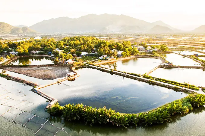 Mùa Đông Nha Trang Mùa Đông Nha Trang