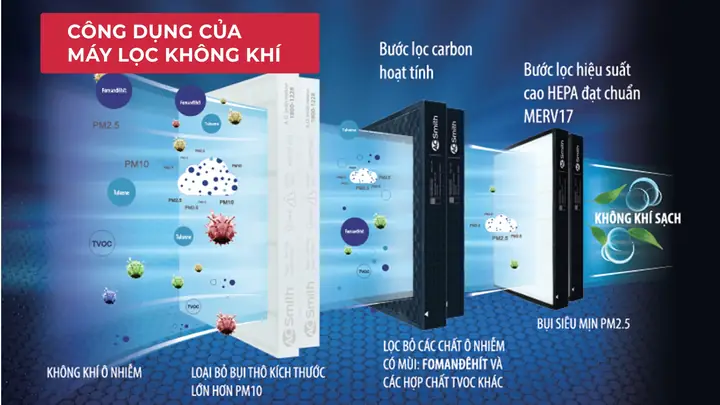 Chức Năng Cốt Lõi Và Cơ Chế Hoạt Động Khác Biệt