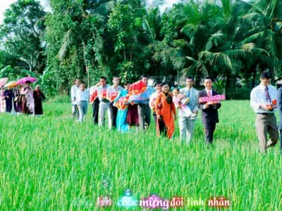 1001 Bản Nhạc Đám Cưới Hay Được Sử Dụng Nhiều Nhất