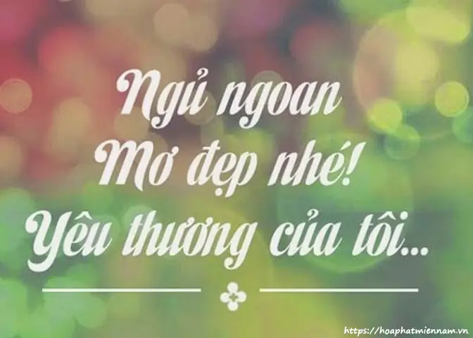 Những Lời Chúc Ngủ Ngon Lãng Mạn