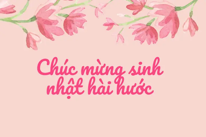 Tổng Hợp Những Lời Chúc Mừng Sinh Nhật Hài Hước, Lầy Lội Nhất