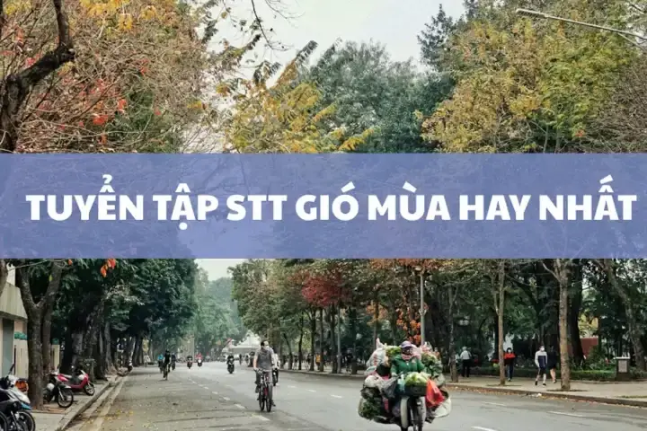 Bài Viết Liên Quan Bài Viết Liên Quan