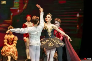 Những Con Thiên Nga Của Tchaikovsky