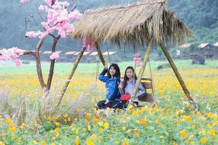 Thung Lũng Hoa Bắc Sơn
