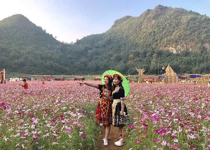 Thung Lũng Hoa Bắc Sơn