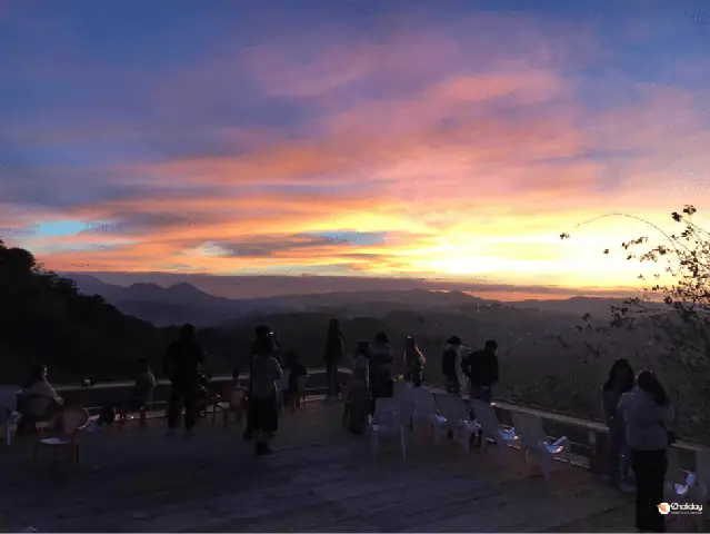 View Rừng Thông / Đồi Núi: