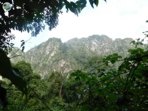 Vùng Đá Vôi Hà Nam – Ninh Bình – Trung Tâm Bảo Tồn Thiên ...
