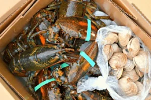 Hải Sản Muốn Mang Lên Máy Bay Thì Phải Làm Sao?