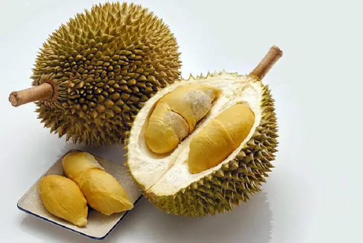 Sầu Riêng, Mít Có Được Mang Lên Máy Bay Không?