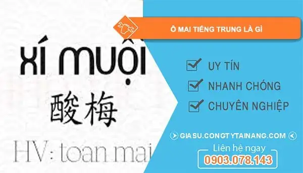 Phát Âm酸梅(suān Méi) Phát Âm酸梅(suān Méi)