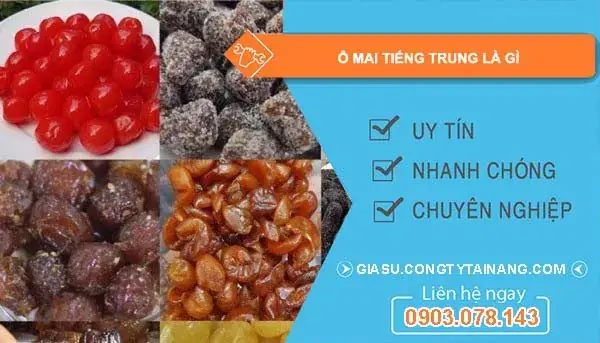 Ô Mai Trong Văn Hóa Ẩm Thực Trung Quốc: Khác Biệt Và Giá Trị Ô Mai Trong Văn Hóa Ẩm Thực Trung Quốc: Khác Biệt Và Giá Trị
