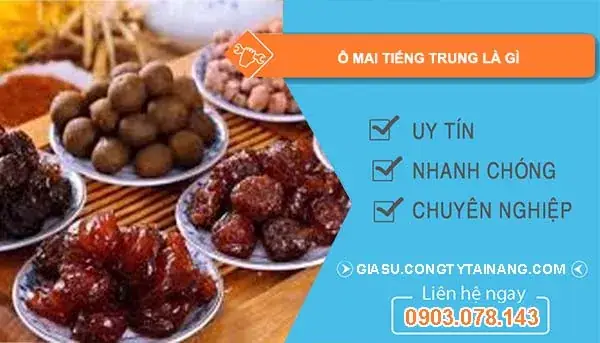 Ô Mai Trong Tiếng Trung: Khái Niệm Và Các Cách Gọi Phổ Biến Ô Mai Trong Tiếng Trung: Khái Niệm Và Các Cách Gọi Phổ Biến