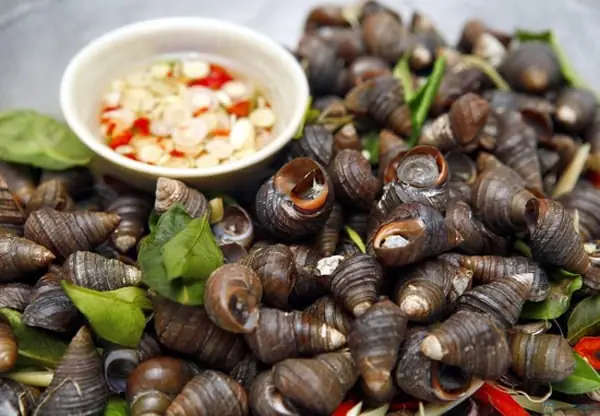 Ốc Ngon Ninh Bình – Quán Ốc Đường Lê Thanh Nghị Đà Nẵng Ngon Rẻ