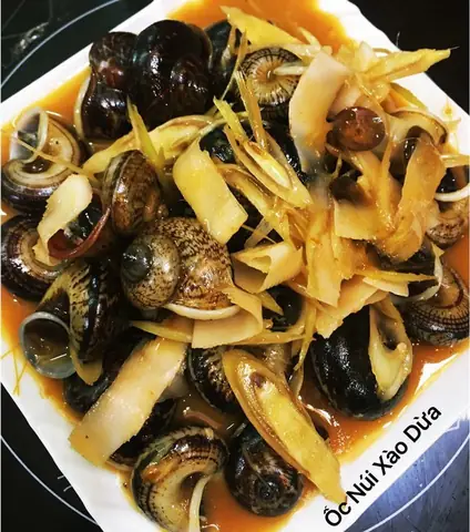 Món Ốc Núi Tây Ninh Xào Dừa Món Ốc Núi Tây Ninh Xào Dừa