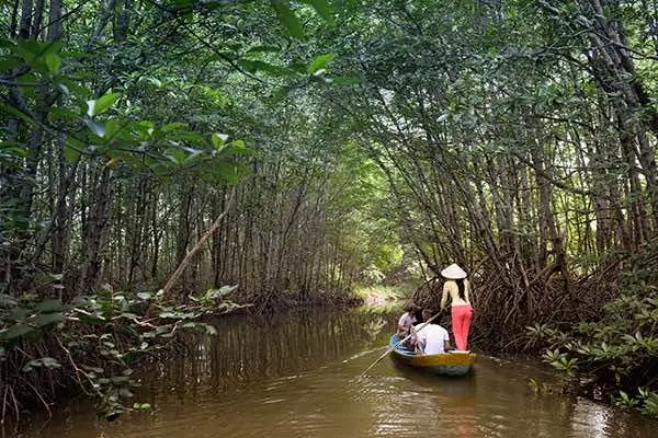 Can Gio Mangrove Forest