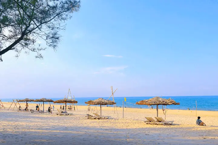 Giải Nghĩa “pax” Trong Ngành Du Lịch – Thuật Ngữ Quan Trọng Không ...