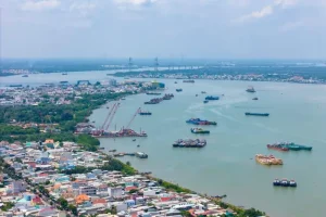 Từ Trung Tâm Tp.hcm Đi Cần Giờ Thế Nào? - Tạp Chí Tri Thức