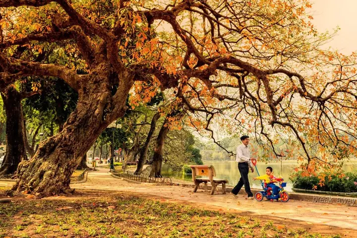 Mã¹a Thu Hã Ná»i Cã³ Gã¬ Äáº·c Biá»t?