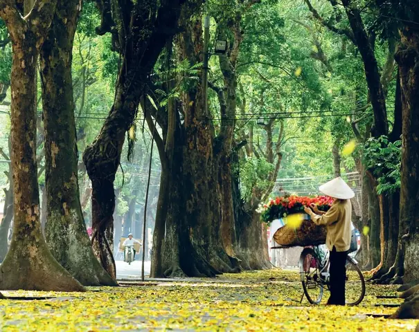 Äæ°á»ng Hoã Ng Diá»u