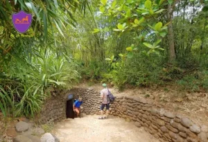 Phong Nha To Hoi An Private Car