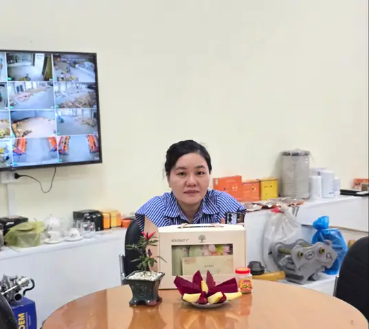 Không Khí Rực Rỡ Trên Khắp Các Miền