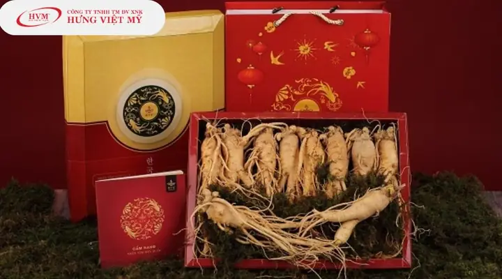 Nhân Sâm Hàn Quốc Nhân Sâm Hàn Quốc