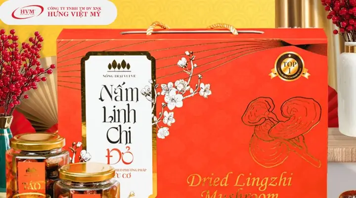 Nấm Linh Chi Nấm Linh Chi