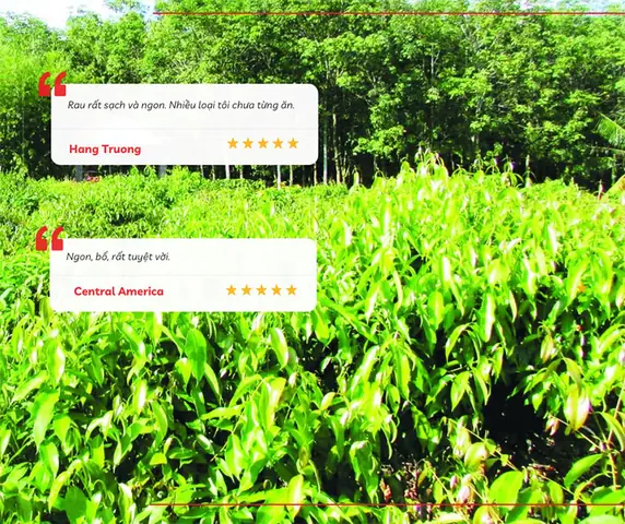 Vườn Rau Rừng Trảng Bàng Tây Ninh