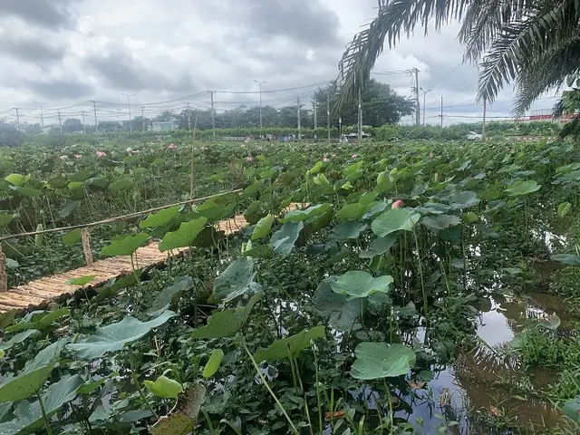 Quán Bò Tơ Gà Vườn Thành Xuân Anh Củ Chi