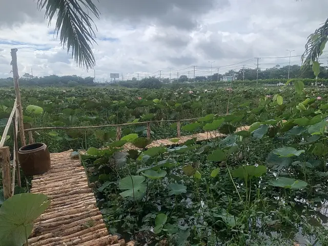 Quán Bò Tơ Gà Vườn Thành Xuân Anh Củ Chi