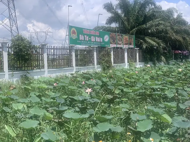 Quán Bò Tơ Gà Vườn Thành Xuân Anh Củ Chi