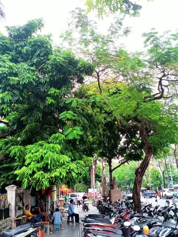 Tầng 1 Siêu Thơ Với Không Gian Thoáng Đáng, Cực Chill