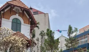 Trâu Quỳ Café – Quán Cà Phê Sân Vườn Lãng Mạn