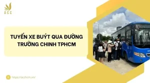 Tuyến Xe Buýt Qua Đường Trường Chinh Tphcm