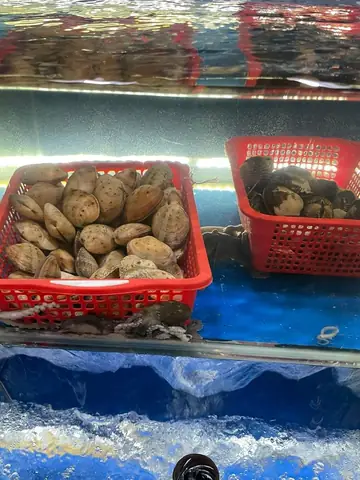 Quán Bờ Sông 39x Quán Nhậu Ngon Quận 4