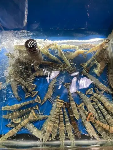 Quán Bờ Sông 39x Quán Nhậu Ngon Quận 4