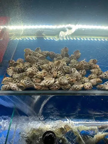 Quán Bờ Sông 39x Quán Nhậu Ngon Quận 4