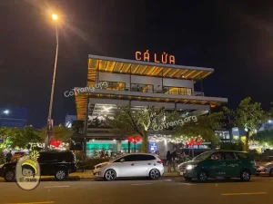 Những Câu Hỏi Thường Gặp Về Visa Du Lịch Ẩm Thực Và Quốc Tế (faqs)