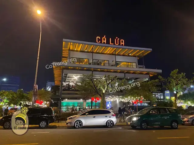 Những Câu Hỏi Thường Gặp Về Visa Du Lịch Ẩm Thực Và Quốc Tế (faqs)